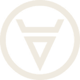 VIP Transfer